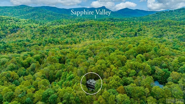 aerial view featuring a mountain view