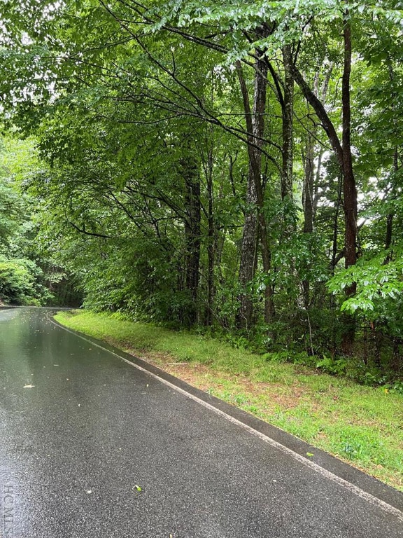 LOT40 Narrows Rd, Sapphire NC, 28774 land for sale