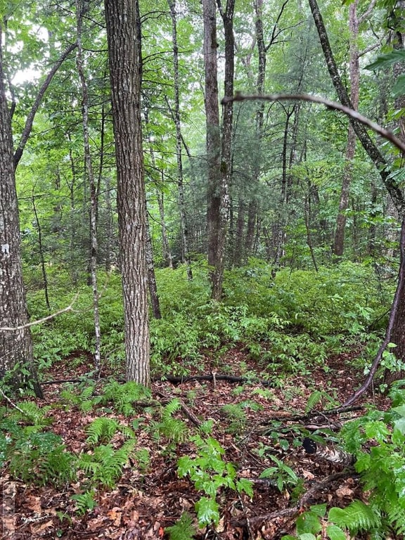 Listing photo 2 for LOT40 Narrows Rd, Sapphire NC 28774