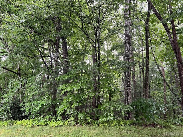 Listing photo 3 for LOT40 Narrows Rd, Sapphire NC 28774