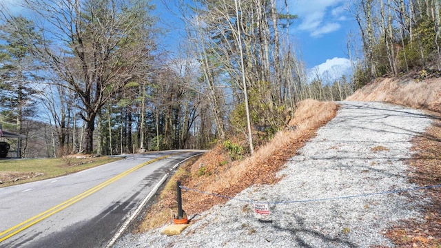 Listing photo 2 for TBD Buck Creek Rd, Highlands NC 28741