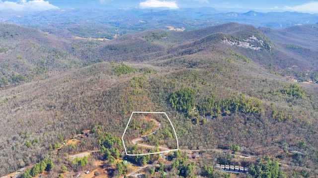 Listing photo 3 for TBD Buck Creek Rd, Highlands NC 28741