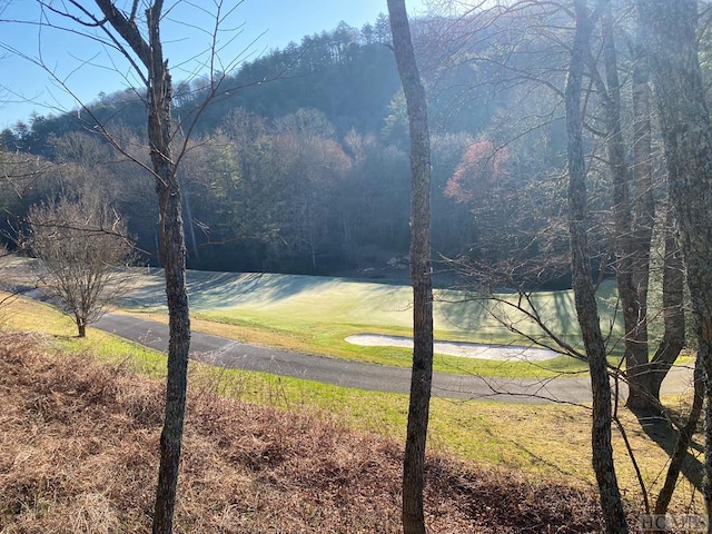 LOT16 Trillium Ridge Rd, Cullowhee NC, 28723 land for sale