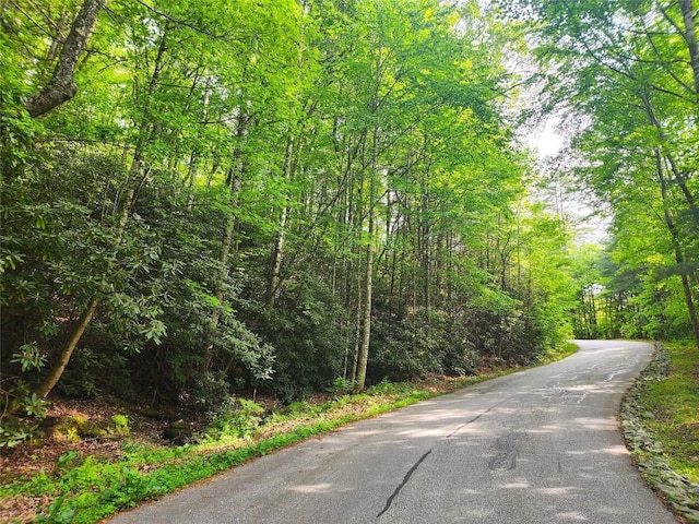 LOT33 Morgan Dr, Penrose, NC 28766