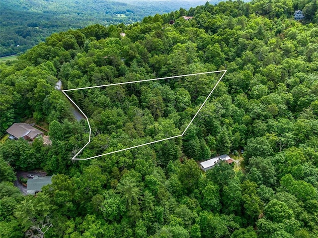 LOT33 Morgan Dr, Penrose, NC 28766 - photo 4