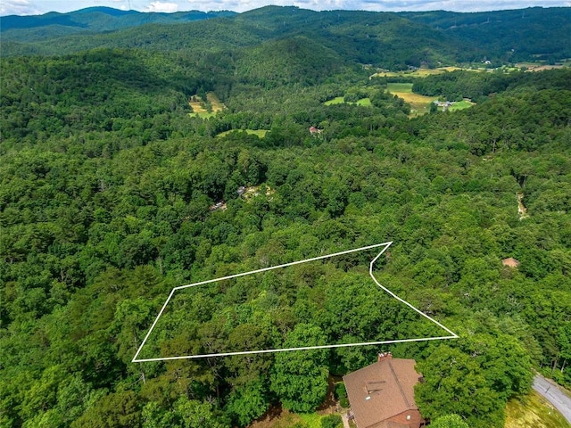 LOT33 Morgan Dr, Penrose, NC 28766 - photo 7