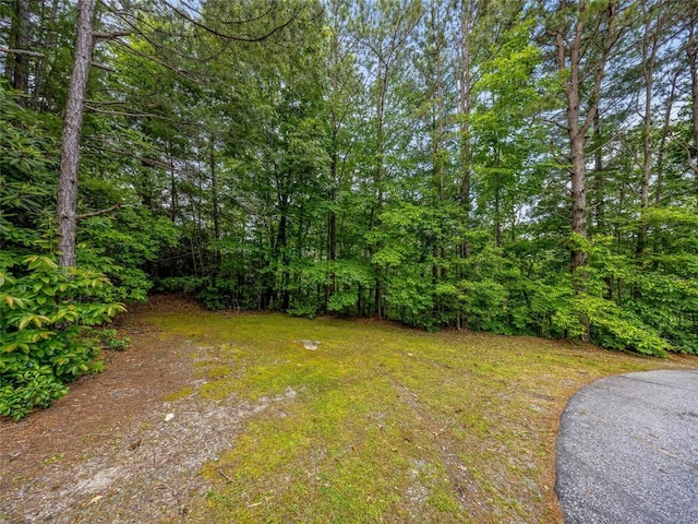 LOT33 Morgan Dr, Penrose, NC 28766 - photo 6