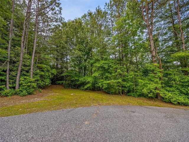 LOT33 Morgan Dr, Penrose, NC 28766 - photo 8