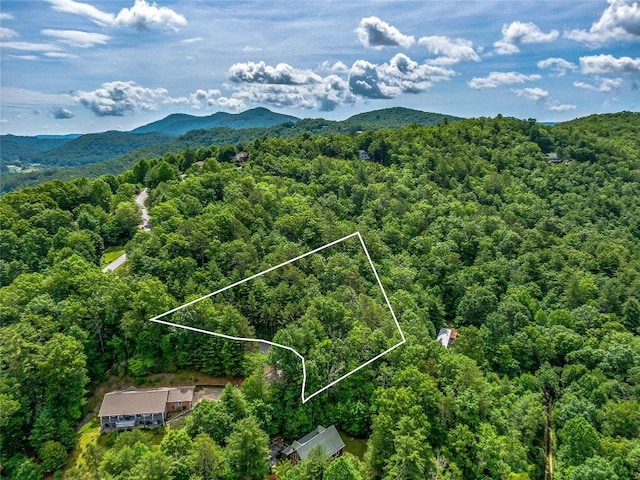 LOT33 Morgan Dr, Penrose, NC 28766 - photo 5