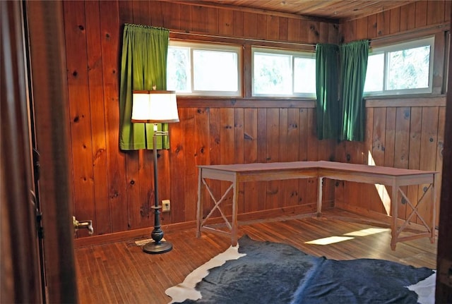 interior space with wooden walls and wood finished floors