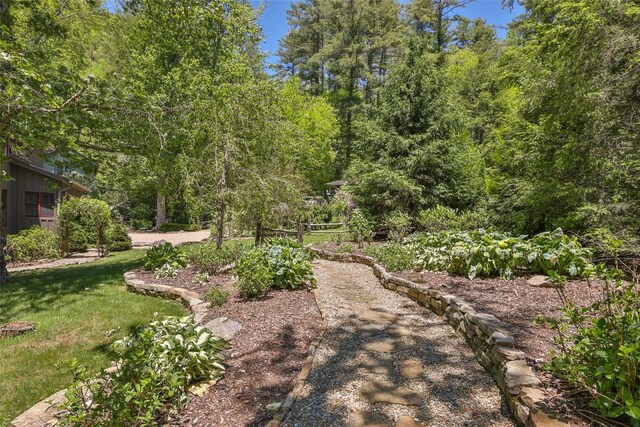 58 Little Pond Ln, Cashiers, NC 28717 - photo 40