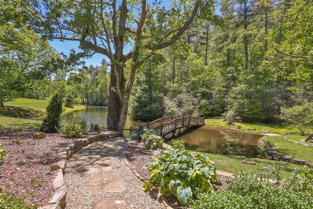 58 Little Pond Ln, Cashiers, NC 28717 - photo 37
