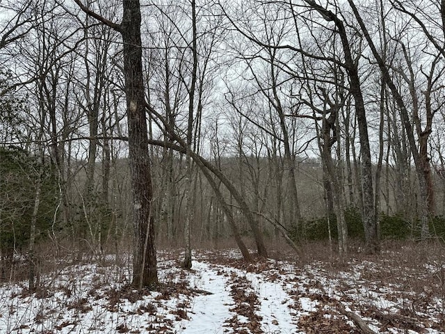 Listing photo 2 for LOT17 Sheer Rock Rd, Glenville NC 28736