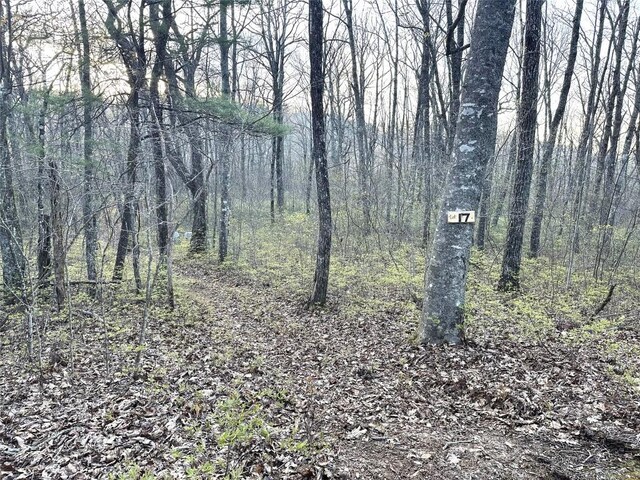 LOT17 Glenridge, Glenville, NC 28736