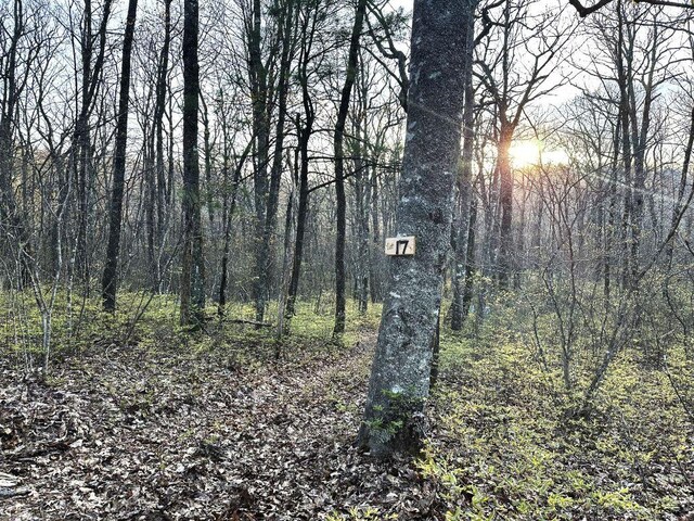 LOT17 Glenridge, Glenville, NC 28736