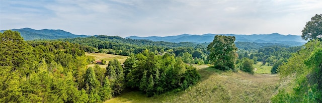 TBD Cattle Dr, Whittier, NC 28789 - photo 6