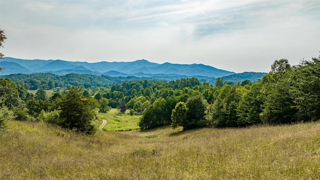 TBD Cattle Dr, Whittier, NC 28789 - photo 7
