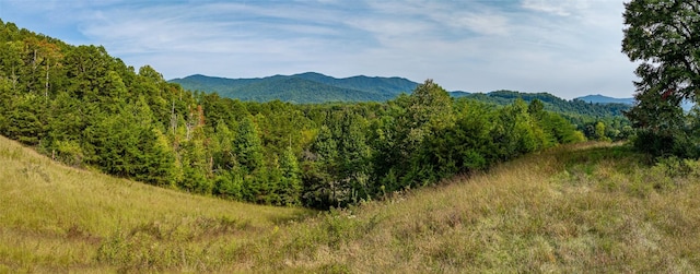 TBD Cattle Dr, Whittier, NC 28789 - photo 3