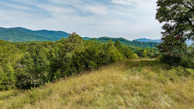 TBD Cattle Dr, Whittier, NC 28789 - photo 8