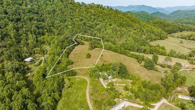 TBD Cattle Dr, Whittier, NC 28789 - photo 4