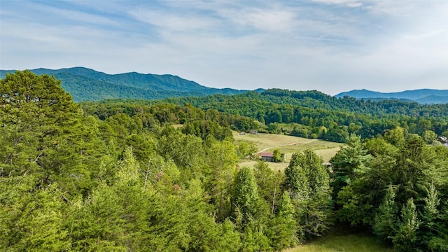 TBD Cattle Dr, Whittier, NC 28789 - photo 2
