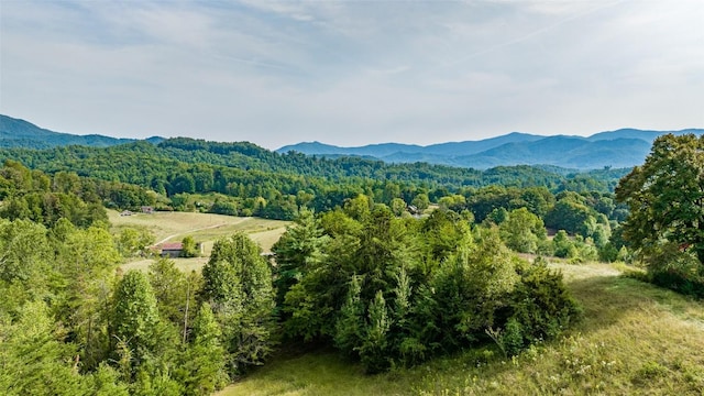 TBD Cattle Dr, Whittier, NC 28789 - photo 5