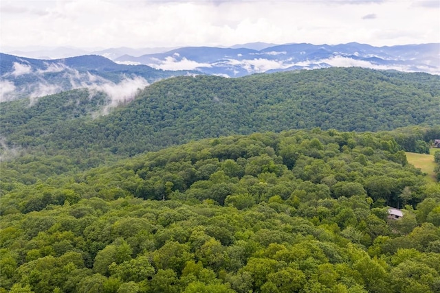 LOTE8 New Settlers Way, Glenville, NC 28736