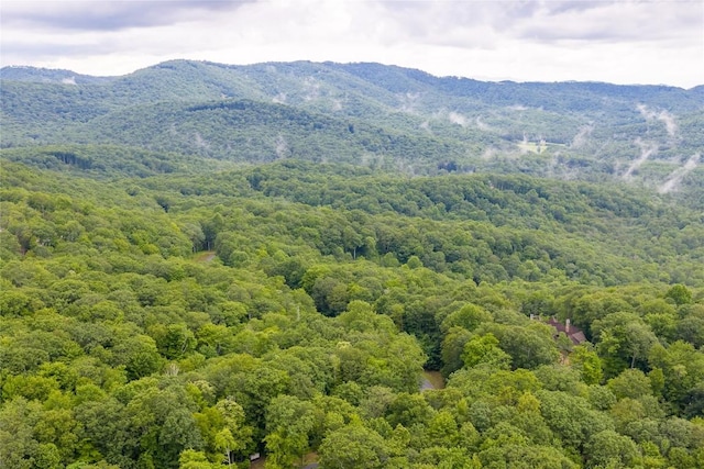 LOTE8 New Settlers Way, Glenville, NC 28736