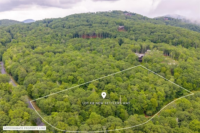 LOTE8 New Settlers Way, Glenville, NC 28736