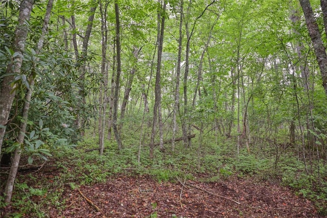 LOTE8 New Settlers Way, Glenville, NC 28736