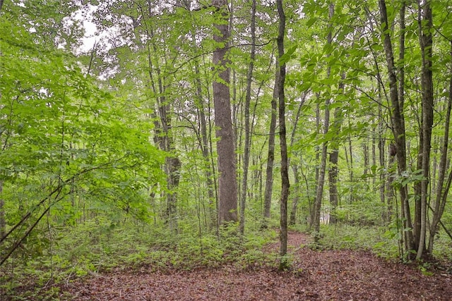 LOTE8 New Settlers Way, Glenville, NC 28736