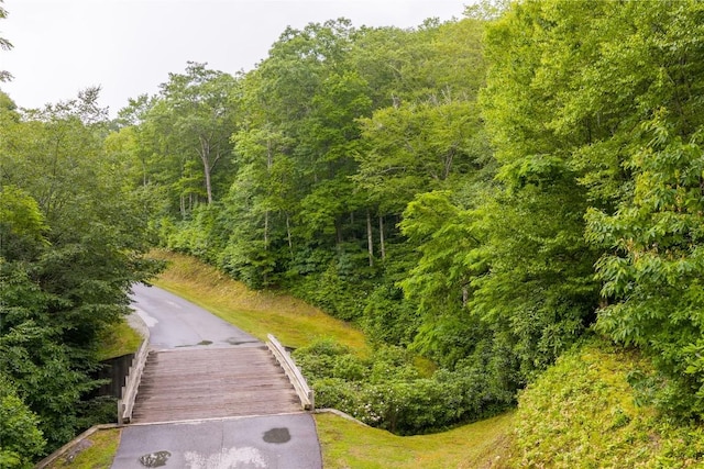 LOTE8 New Settlers Way, Glenville, NC 28736
