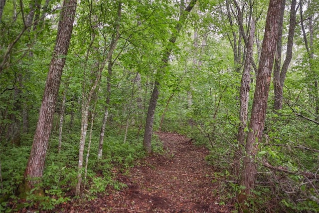 LOTE8 New Settlers Way, Glenville, NC 28736