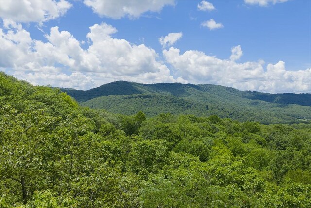 LOTE8 New Settlers Way, Glenville, NC 28736