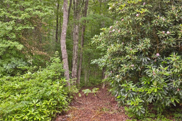 LOTE8 New Settlers Way, Glenville, NC 28736