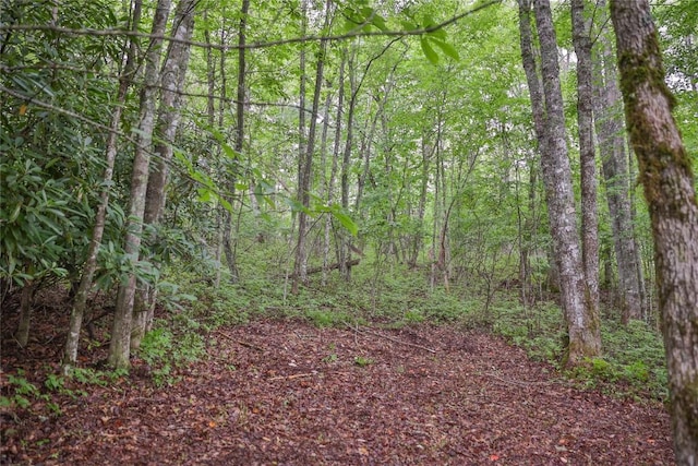 LOTE8 New Settlers Way, Glenville, NC 28736