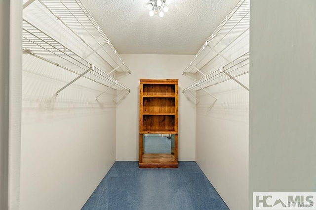 walk in closet featuring carpet