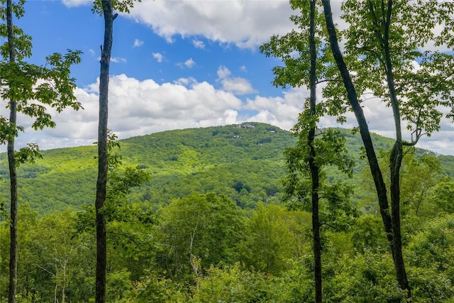 C44 Roaming Rd, Glenville, NC 28736