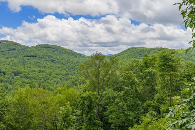 C44 Roaming Rd, Glenville, NC 28736