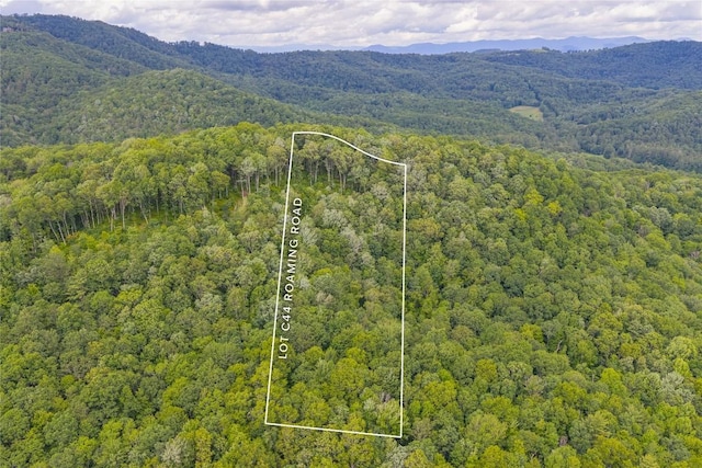C44 Roaming Rd, Glenville, NC 28736