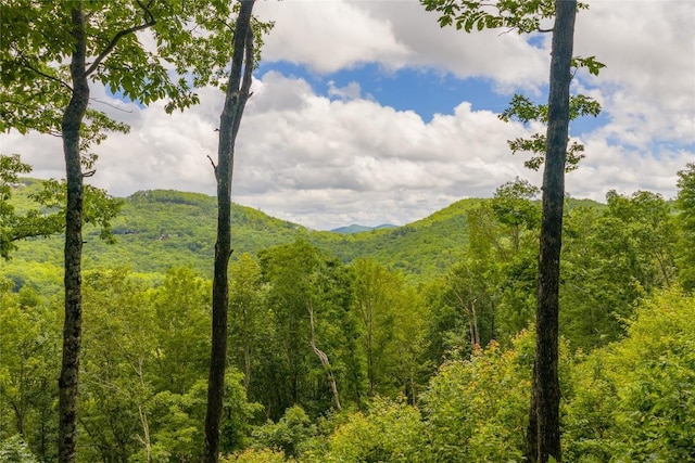 C44 Roaming Rd, Glenville, NC 28736