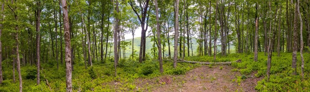 C44 Roaming Rd, Glenville, NC 28736