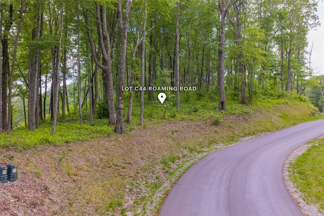 C44 Roaming Rd, Glenville, NC 28736
