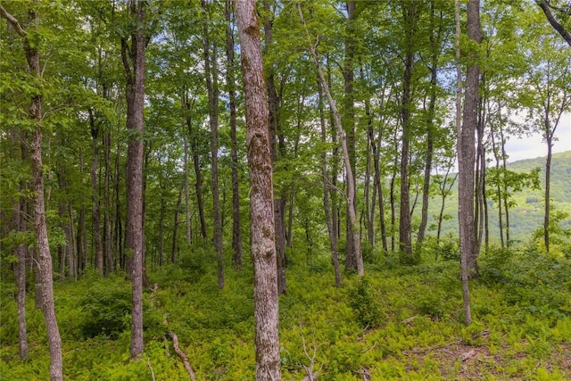 C44 Roaming Rd, Glenville, NC 28736