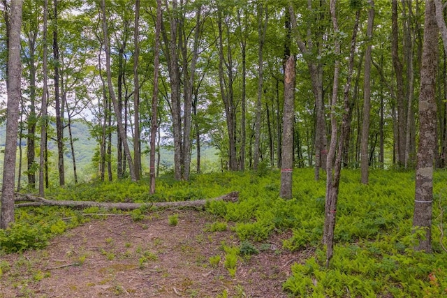 C44 Roaming Rd, Glenville, NC 28736