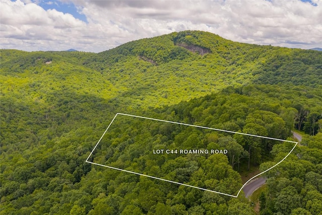 C44 Roaming Rd, Glenville, NC 28736