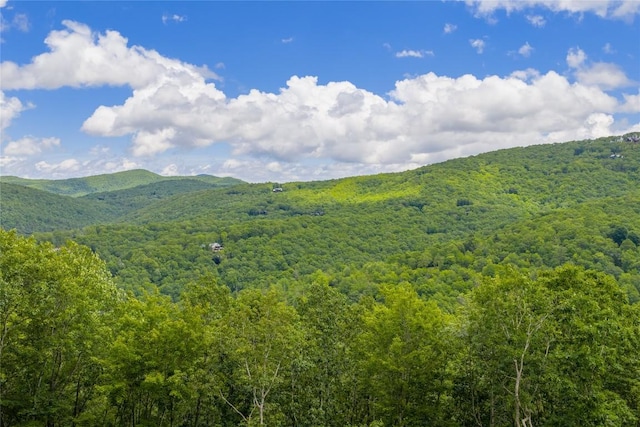 C44 Roaming Rd, Glenville, NC 28736