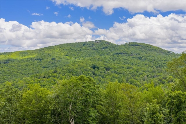 C44 Roaming Rd, Glenville, NC 28736