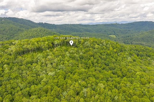 C44 Roaming Rd, Glenville, NC 28736