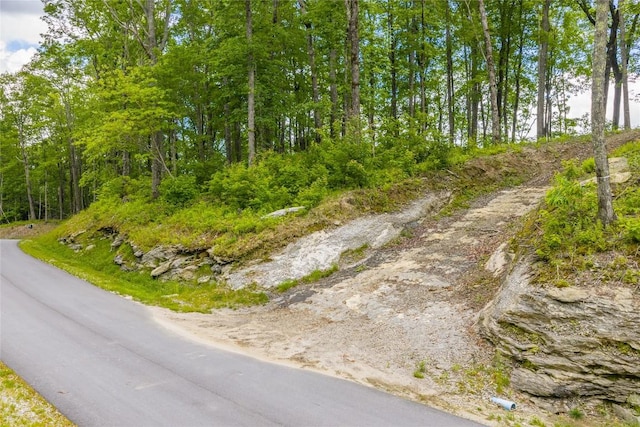 C44 Roaming Rd, Glenville, NC 28736